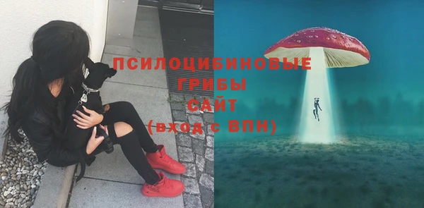 Альфа ПВП Дмитровск