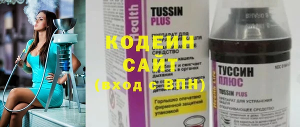 индика Дмитриев