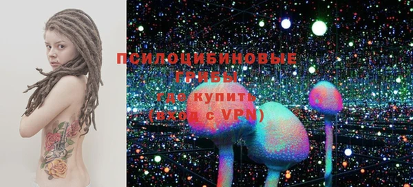 Альфа ПВП Дмитровск