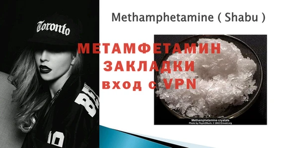индика Дмитриев