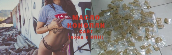 индика Дмитриев