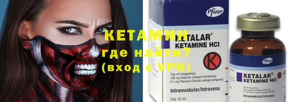 индика Дмитриев