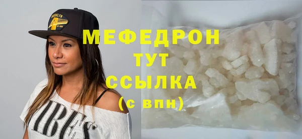 индика Дмитриев