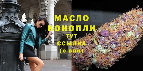 индика Дмитриев