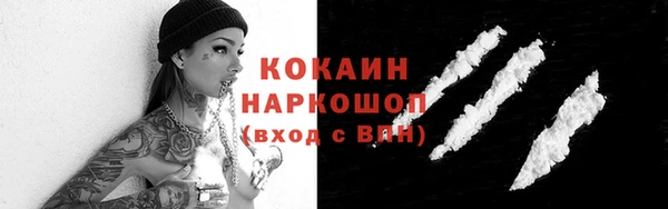 индика Дмитриев