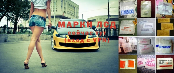 индика Дмитриев