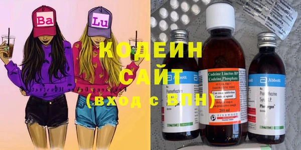 индика Дмитриев