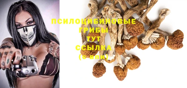 спиды Дмитров