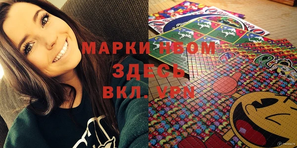 индика Дмитриев