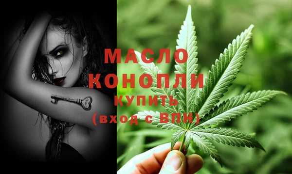 индика Дмитриев