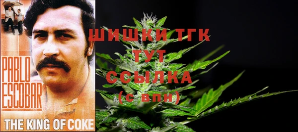спиды Дмитров