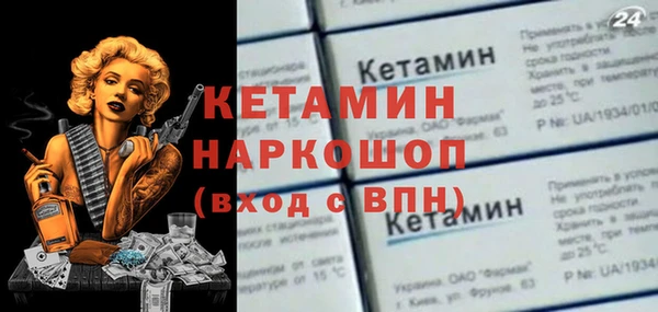 индика Дмитриев