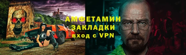 индика Дмитриев