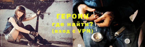 индика Дмитриев